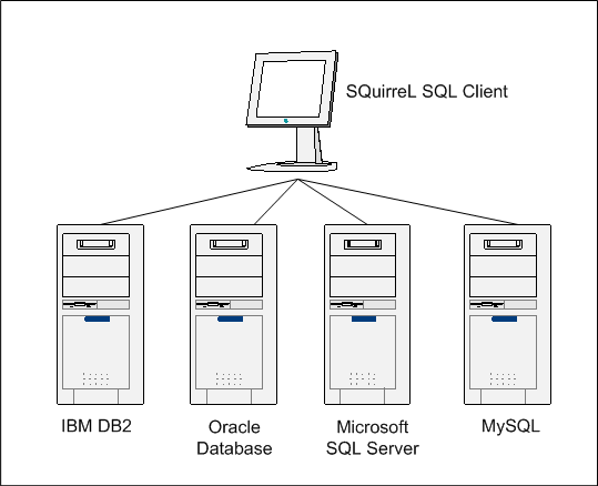 Figure 11. Typical hetergeneous database environment supported by SQuirreL
